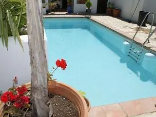 El Gecko فندق كالا ان بوسش